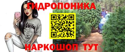 шишки Бузулук